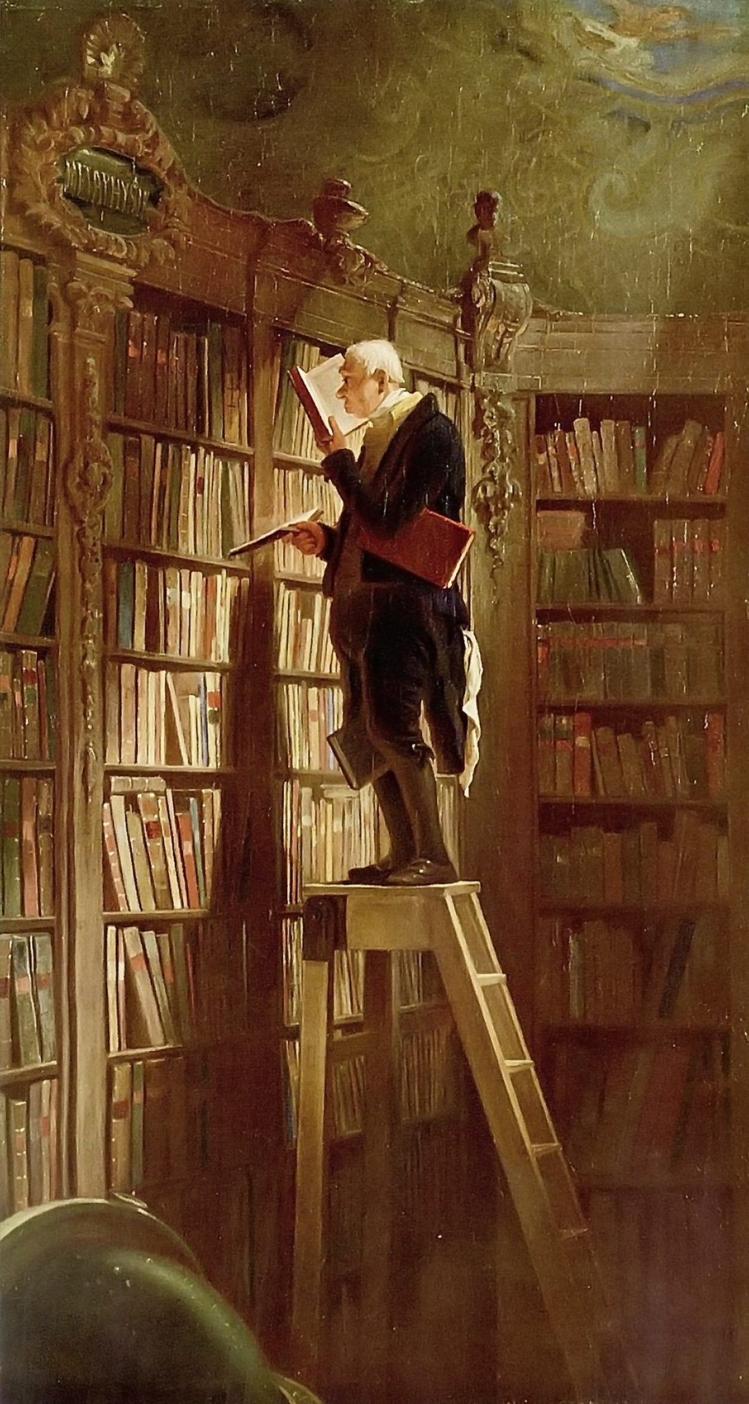 bibliotecario